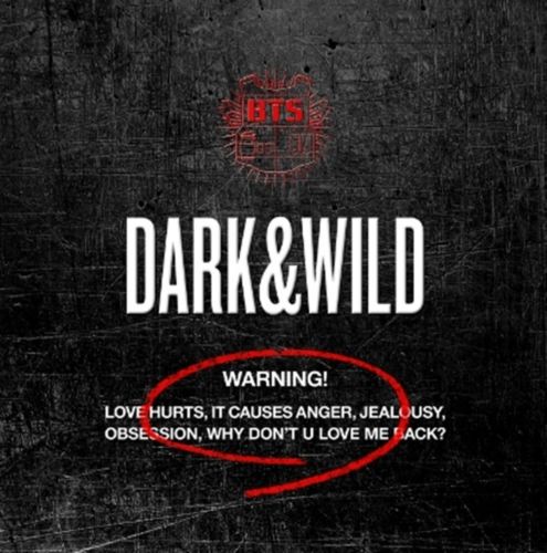 BTS - Dark & Wild