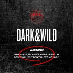 BTS - Dark & Wild