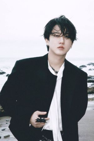 STRAYKIDS DO IT СЕТ КАРТИЧКИ 