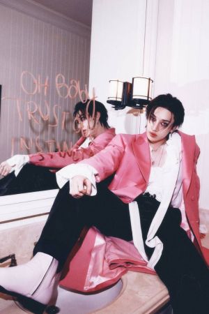 STRAYKIDS DO IT СЕТ КАРТИЧКИ 