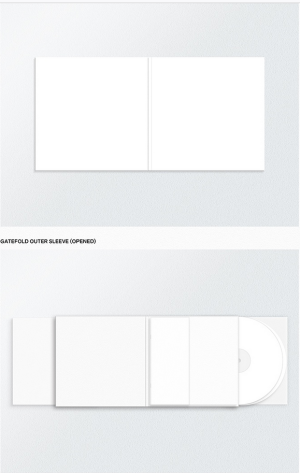BTS - ARIRANG (Deluxe Vinyl) (2 types Random Ver.) PRE - ORDER 