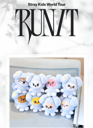 Stray Kids SKZOO Plush in TASY Run It