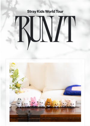 Stray Kids SKZOO Secret Wind-Up Plush