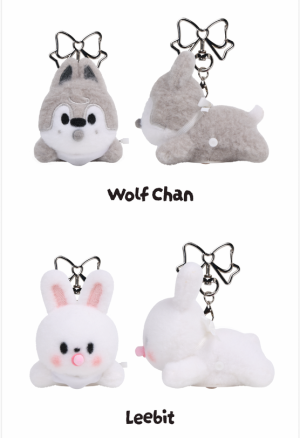 Stray Kids SKZOO Secret Wind-Up Plush