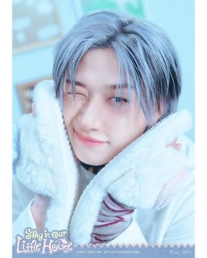 STRAYKIDS FANMEETING СЕТ КАРТИЧКИ 