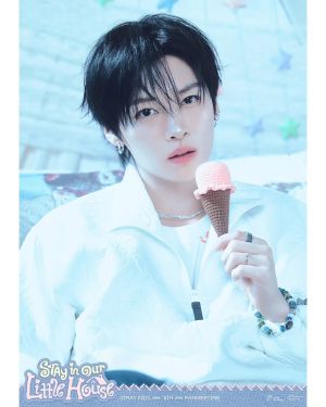 STRAYKIDS FANMEETING СЕТ КАРТИЧКИ 