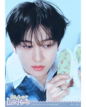 STRAYKIDS FANMEETING СЕТ КАРТИЧКИ 