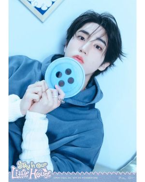 STRAYKIDS FANMEETING СЕТ КАРТИЧКИ 