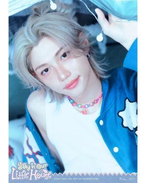 STRAYKIDS FANMEETING СЕТ КАРТИЧКИ 